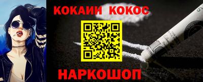 индика Камышлов