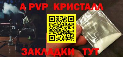 индика Камышлов