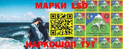 индика Камышлов