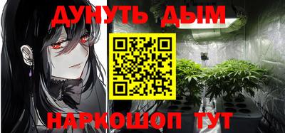 индика Камышлов