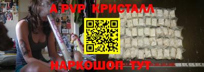 индика Камышлов