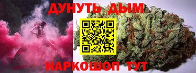 индика Камышлов