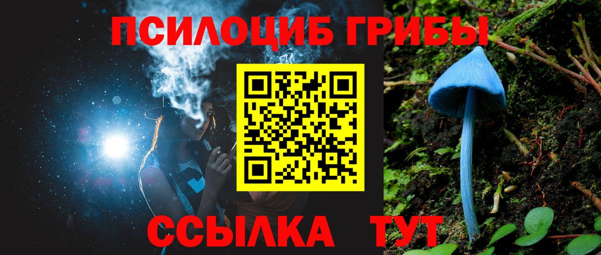 Галлюциногенные грибы прущие грибы  Псилоцибиновые грибы прущие грибы  где купить   Вход с VPN  Элиста 