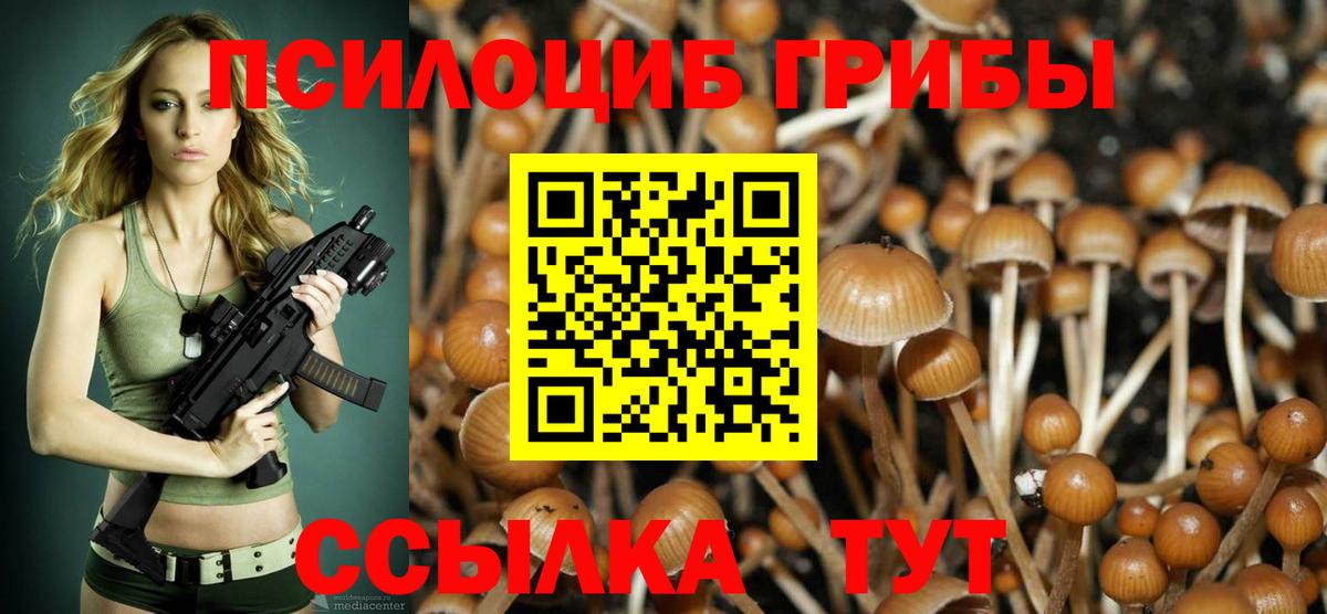 Галлюциногенные грибы мицелий Элиста